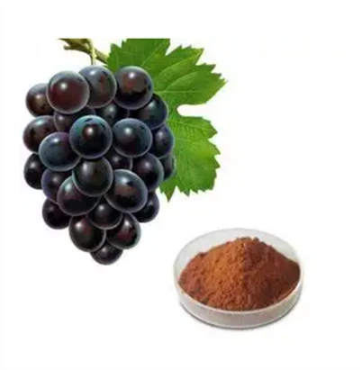 Paras rypäleensiemenuutejauhe