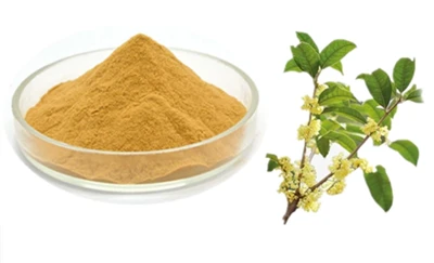 Osmanthus fragrans -siemenuut jauhe